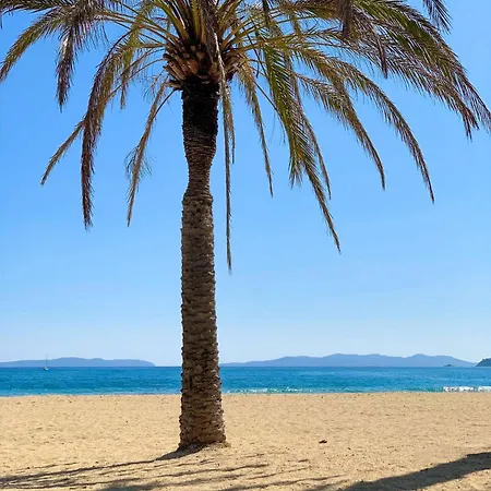 Select'sohome - Pour 4 Personnes Proche Des Commerces Et De La Du Lavandou ! - Cap Azur Apartment